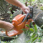 Tree Services - tree Trimming